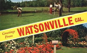 Postal de flores de saludos desde Watsonville California campo de golf - Imagen 1 de 2