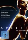 Splice - Das Genexperiment (DVD) Adrien Brody Sarah Polley Delphine Chanéac