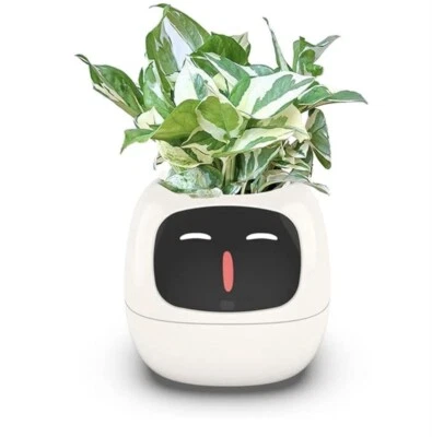 Smart Pet Planter Smart Flower Pot - Image 1 of 4