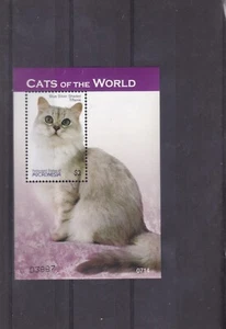 Micronesia mnh cats chats feline domestic animals sheet 2007 - Picture 1 of 1