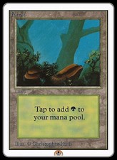 Forest A (Rocks) - Unlimited - NM **GamerzSphere**