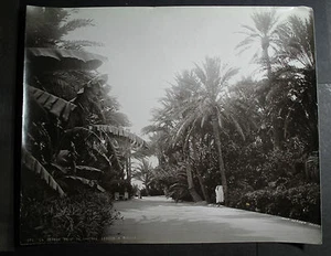rare 1890s antique old PHOTO LEROUX CHATEAU LANDON AFRICA BISKRA ALGERIA ALGER - Picture 1 of 1