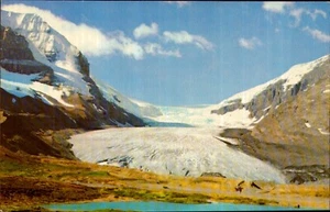 British Columbia Icefields Athabasca Glacier Postcard. Canada Vintage60s 70s - Picture 1 of 2
