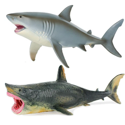 Simulation of solid Great White Shark marine static plastic  model shark toys Cover