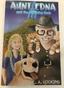 Aunt EDNA and the Lightning Rock - Bild 1 von 2