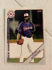 Cd Pelham 2019 Nashville Sounds Team Card 