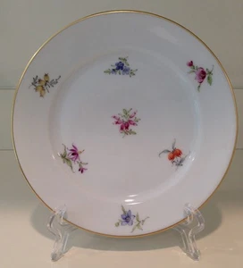 Hochst Multi Floral Porcelain Plate Made in Germany New - Picture 1 of 9