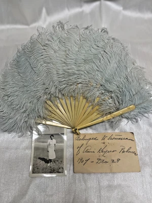 Antiguo abanico de plumas de avestruz 1907 nupcial eduardiana Trousseau celuloide con Provena Foto 1 de 4