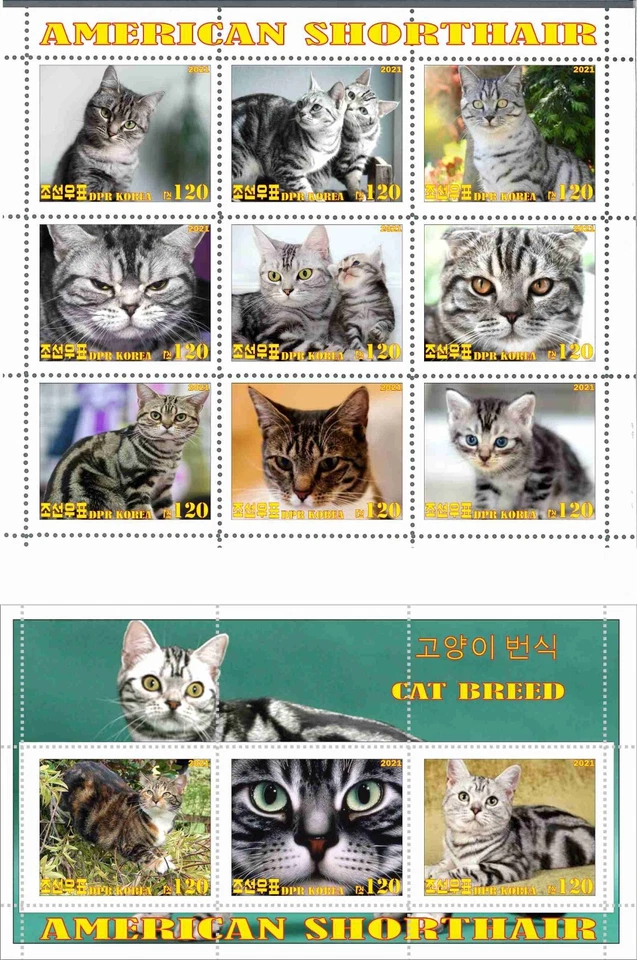 Stamp sheet+block  American Shortage Cats Korean issue 2021 - Image 1 of 1