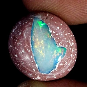 7.00 Cts Natural Fire Opal Gemstone Earrings Making Oval Cabochon 14X16X6MM - Picture 1 of 6