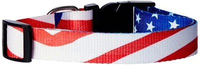 COLLAR PATRIÓTICO PERRO DUKES KOLE KI-AA125 - NEGRO/BLANCO/AZUL/ROJO/PLATEADO Foto 1 de 3