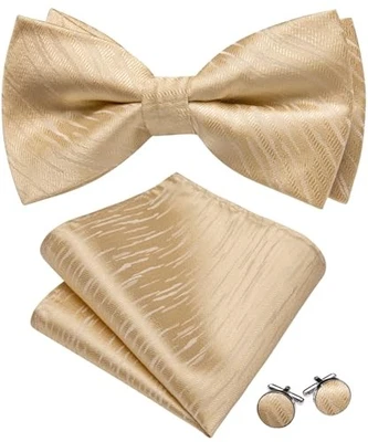 Conjunto de pajaritas y alfiler de solapa de seda bonita cachemira floral pajarita champán para hombre Foto 1 de 4