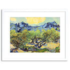 Peinture Van Gogh paysage oliviers encadrés image art impression 9x7 pouces