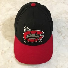 Carolina Mudcats Zephyr Fitted Hat Cap Baitshop Men MiLB Baseball Black Red
