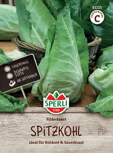 Cavolo piccante 'Filderkraut' - Brassica oleracea, semi di cavolo bianco 81225 - offerta - Foto 1 di 2