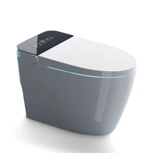 Luxury Smart Toilet with Bidet, Heated Seat, Dryer, Night Light and Remote! - Picture 1 of 36