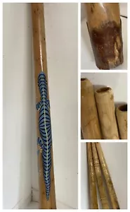 DIDGERIDOO GRADO B EX DISPLAY Hecho a Mano - Madera Dura de Alta Calidad Pintada en Teca - Imagen 1 de 51