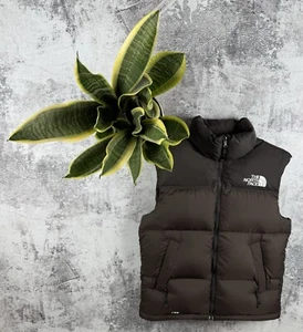 THE NORTH FACE TNF BROWN OUTDOOR MEN S SIZE GILET WINDER BREAKER VEST JACKET - Picture 1 of 24