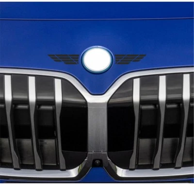 DUALCOLORSTAMPE Kompatibel mit BMW M PERFORMANCE Ali Aufkleber Sportgrafik 0202