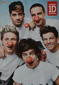 ONE DIRECTION - A3 Poster (ca. 42 x 28 cm) - Clippings Fan Sammlung NEU - Bild 1 von 1