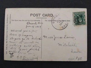 Oregon: Orient 1908 Rose Tree Postcard, DPO Multnomah Co - Picture 1 of 2