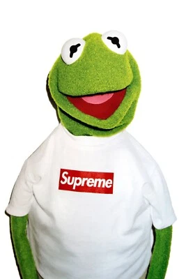 POSTEROLL Kermit The Frog Poster Wall Art Home Decor Photo Print 16x24, 20x30, 24x36