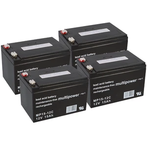 FORCA Akkupack 48V XXL 15AH für EVOKING-1600 EVOKING Akkusatz MP15-12C - Bild 1 von 6