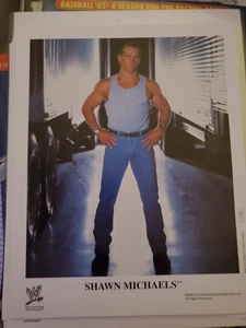 WWE WWF SHAWN MICHAELS ORIGINAL PROMO PHOTO P-852 - Picture 1 of 1