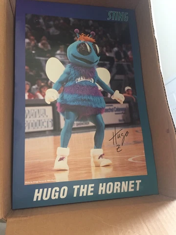 Huge Lot of Charlotte Hornets Sting Hugo Poster Promo Item Cover