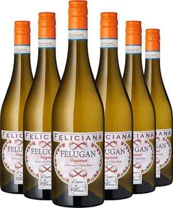 6 Flaschen Feliciana Felugan Lugana DOC 2023 Weißwein, 750ml - Bild 1 von 2