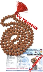 10 Mukhi Rudraksha Mala / Ten Face Rudraksh Rosary 108+1 Java Lab Certified 8 MM - Picture 1 of 3