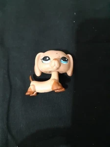 Littlest Pet Shop #1211 Teckel LPS - Photo 1/4