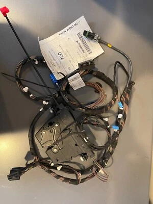 BMW 320I 328I F30 2013-2016 tapa del maletero trasero pestillo bloqueo actuador OEM Foto 1 de 2