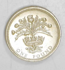Moneda Libra Británica 1989 Reino Unido Cardo Diadema Real Isabel II COLOR DORADO - Imagen 1 de 2