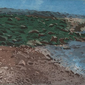 Helga Wirth Algenstrand Ufer Zeitgenössische Kunst sign Farbradierung 1976 ea - Picture 1 of 4