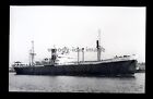 GB1895 - Palm Line Cargo Ship - Lagos Palm - built 1947 - photograph