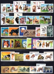 WORLDWIDE 1970-2000 COLLECTION OF 75 DOG STAMPS, MOSTLY COMPLETE SETS - Picture 1 of 6