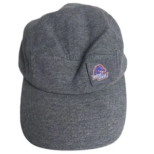Nike Boise State Broncos Adjustable Gray 5 Panel Hat - Picture 1 of 9