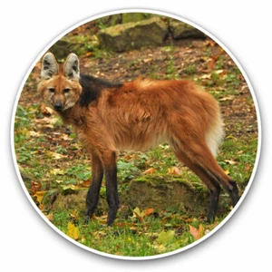 2 x autocollants vinyle 30 cm - mignon loup crinière chien animal cadeau cool #3451 - Photo 1/9