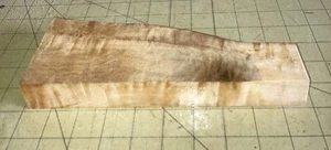 One Piece Hawaiian Curly Mango ~9 1/2" x 3 1/2" x 1 1/4" (#455) - Picture 1 of 7