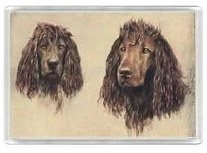 IRISH WATER SPANIEL BEAUTIFUL DOG ART PRINT NOVELTY FRIDGE MAGNET   GREAT GIFT - Picture 1 of 1
