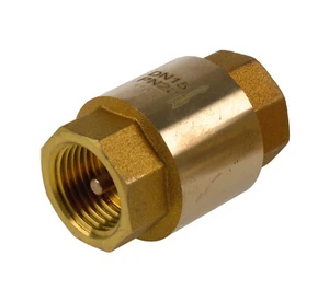 Albion Brass Spring Check Non Return Valves with Female Threads Art. 66 PN20 - Picture 1 of 3