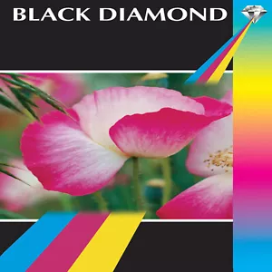 Papel fotográfico mate Black Diamond 6x4 180 gsm (50, 100, 200 hojas) - Imagen 1 de 1