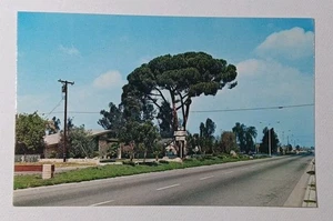 Greetings From Chino California Postcard Unposted - Picture 1 of 3