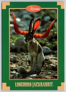 Cartolina Arizona Longhorn Jackrabbit Saluti dal criptide mitologico dell'Arizona - Foto 1 di 2