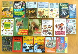 Bestimmungbuch Tierführer: Fledermäuse Gifttiere Meerestiere Nutztiere 1975-2006 - Foto 1 di 35