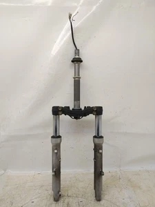 FORCELLA ANTERIORE COMPLETA PER PEUGEOT SV FES 250 DEL 2001 (e50501) - Imagen 1 de 3