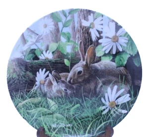 1987 "The Rabbit" From the Knowles Friends of the Forest Collection plate - Picture 1 of 7