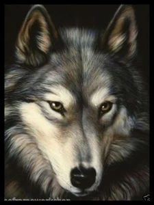 SCHWARZ GERAHMTER WOLFSKOPF - 3D BILD DRUCK 325mm x 425mm - Bild 1 von 2