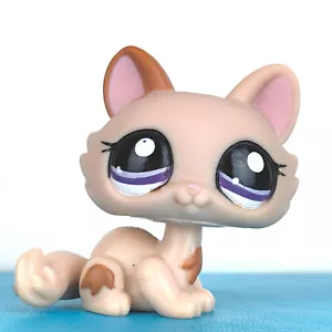 Authentische Littlest Pet Shop #1444 hockende Katze Kätzchen Katze / Original LPS - Bild 1 von 3